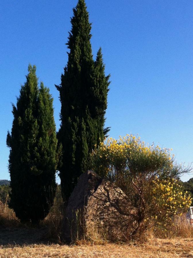 Villa De Vacances Au Calme Proche De La Mer La Londe-les-Maures Eksteriør bilde